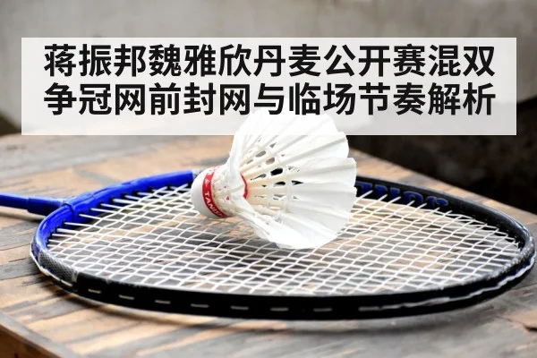 蒋振邦魏雅欣丹麦公开赛混双争冠网前封网与临场节奏解析